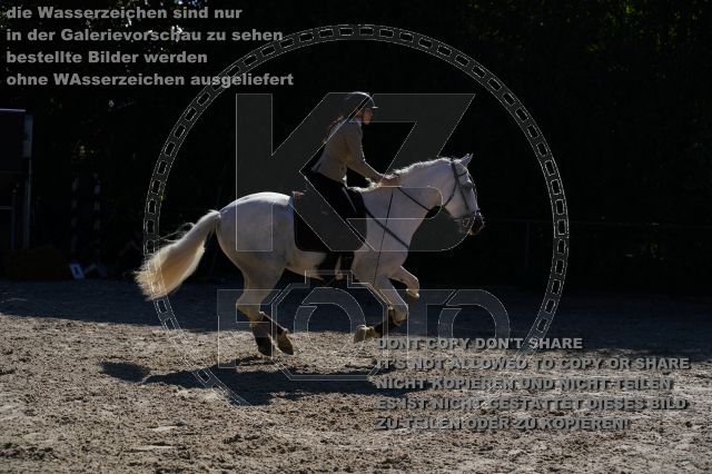 s_K3F03445.JPG